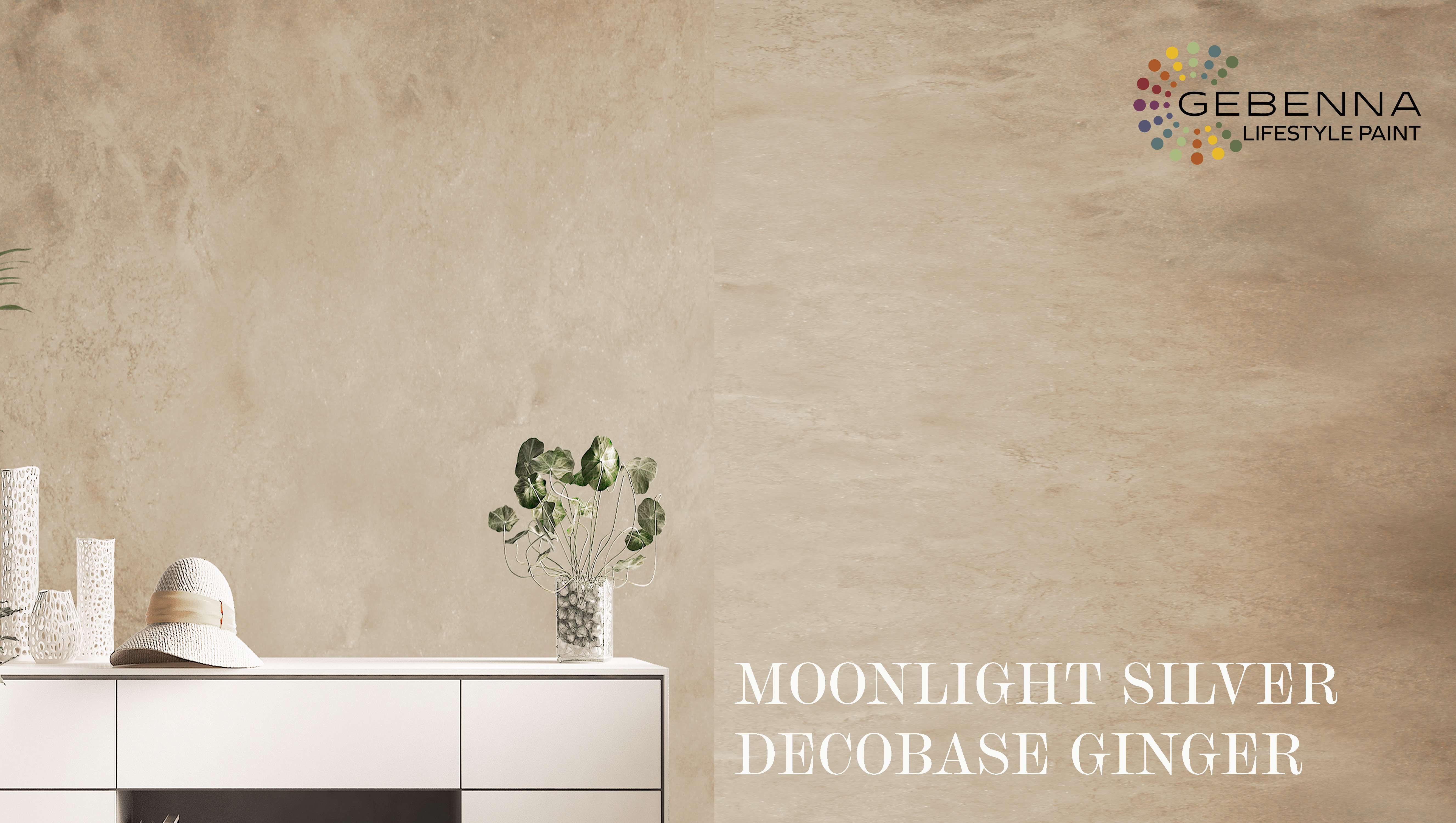 MOONLUGHT SILVER GINGER.jpg